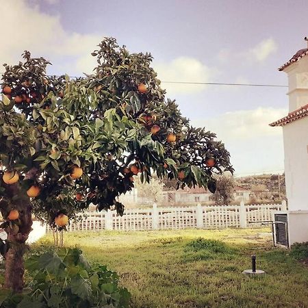 Апартаменты Casa Dos Coracoes - Turismo Regenerativo Beira Экстерьер фото